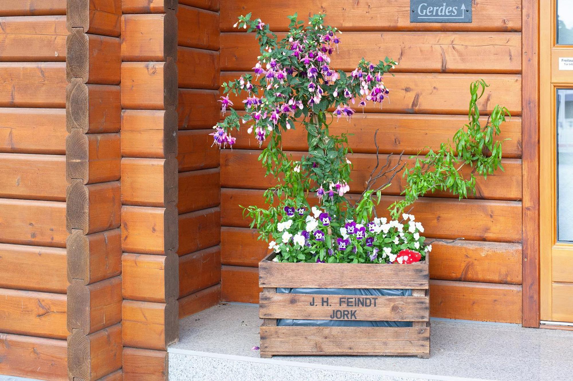 Entenhaus Hilgendorf Екстер'єр фото